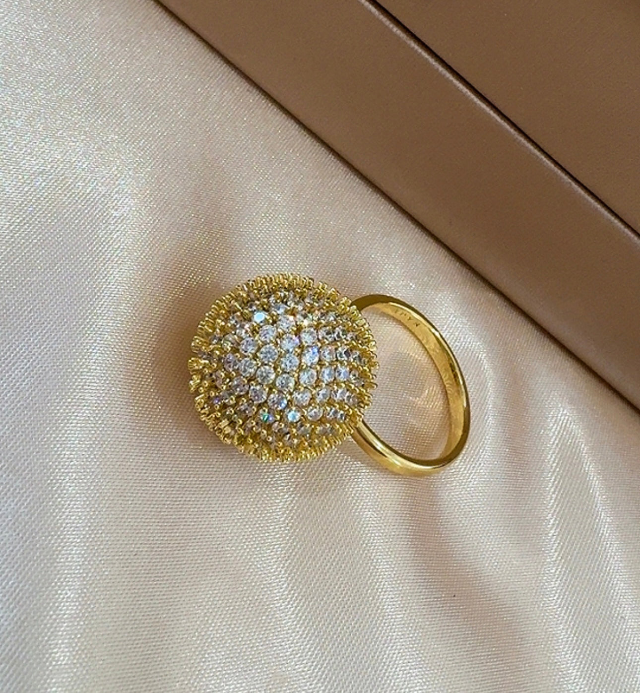 Anillo del río