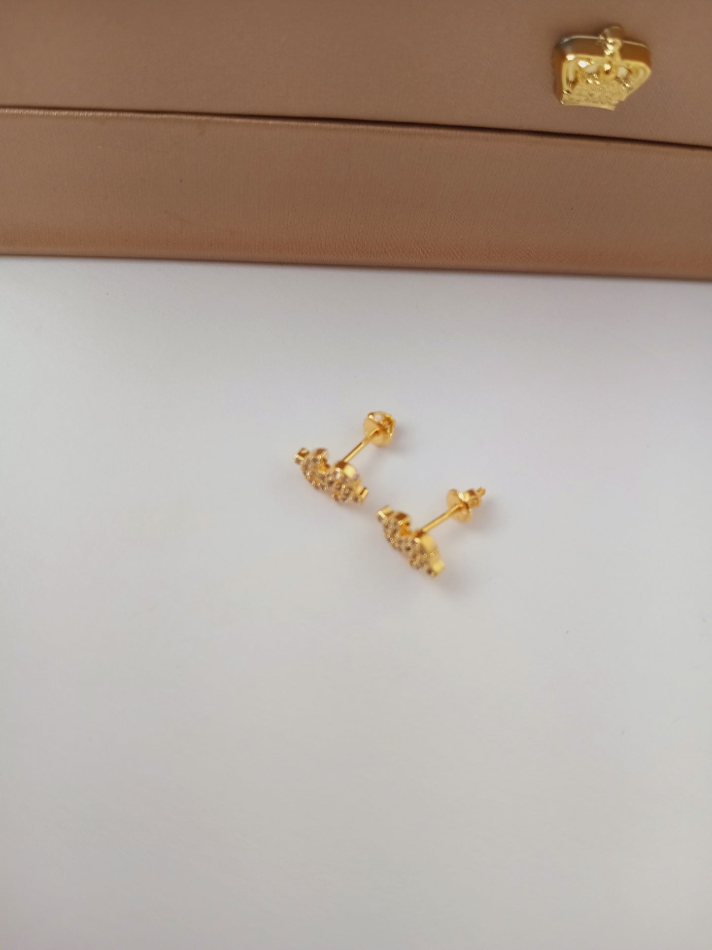 Money mini earrings